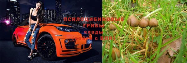 дурь Волосово