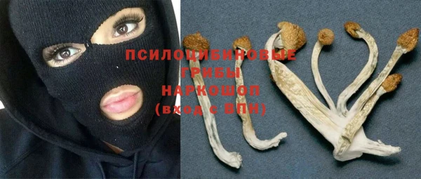 скорость Новозыбков