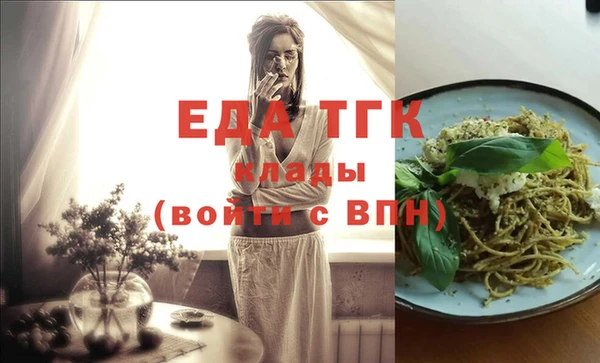 индика Новодвинск